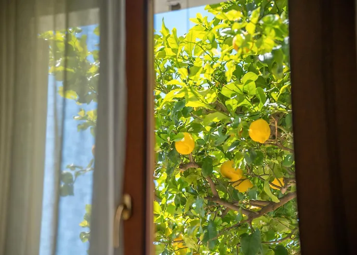 Sweetsimius Villasimius